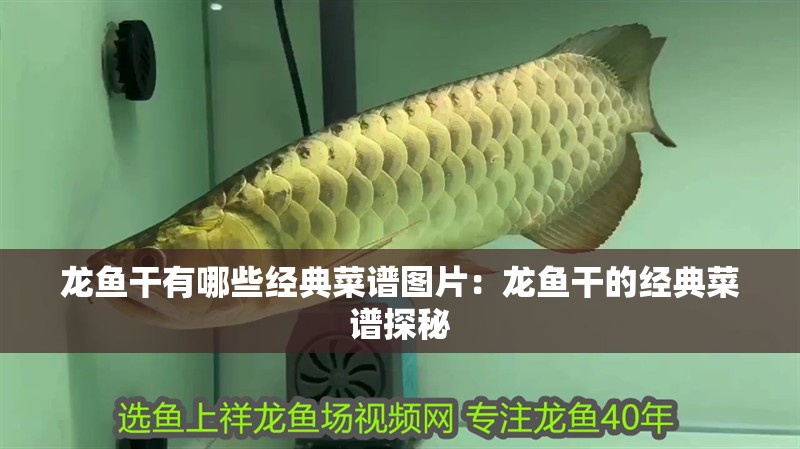 龍魚干有哪些經典菜譜圖片：龍魚干的經典菜譜探秘