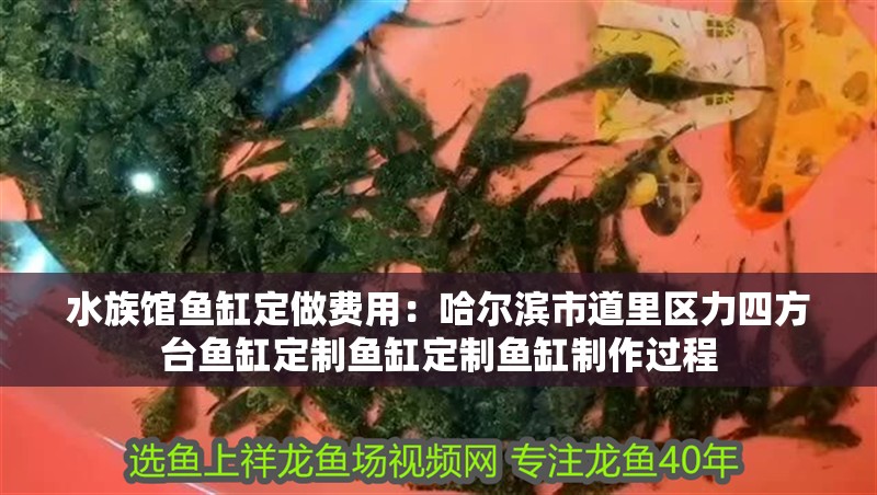 水族館魚(yú)缸定做費(fèi)用：哈爾濱市道里區(qū)力四方臺(tái)魚(yú)缸定制魚(yú)缸定制魚(yú)缸制作過(guò)程