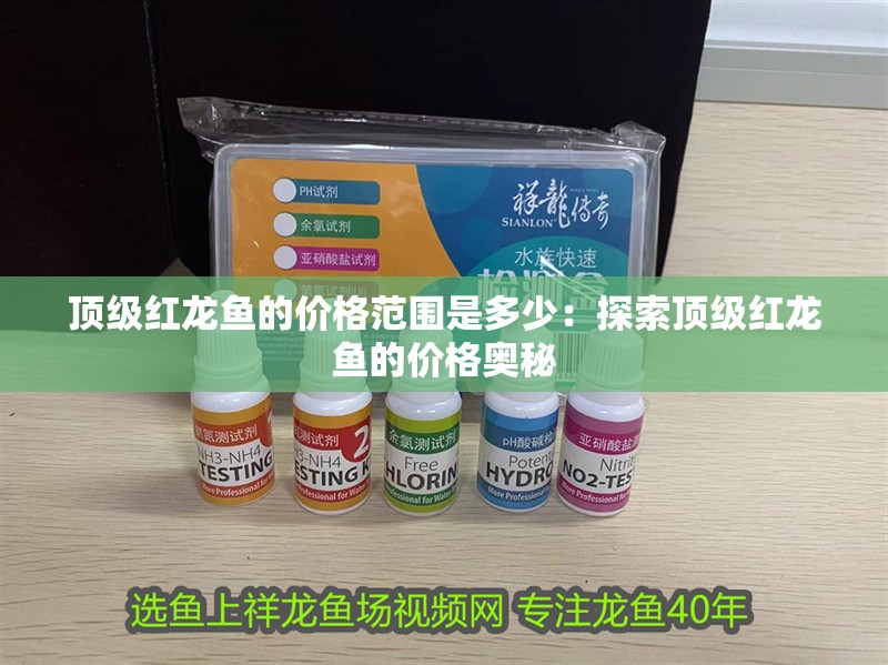 頂級(jí)紅龍魚(yú)的價(jià)格范圍是多少：探索頂級(jí)紅龍魚(yú)的價(jià)格奧秘
