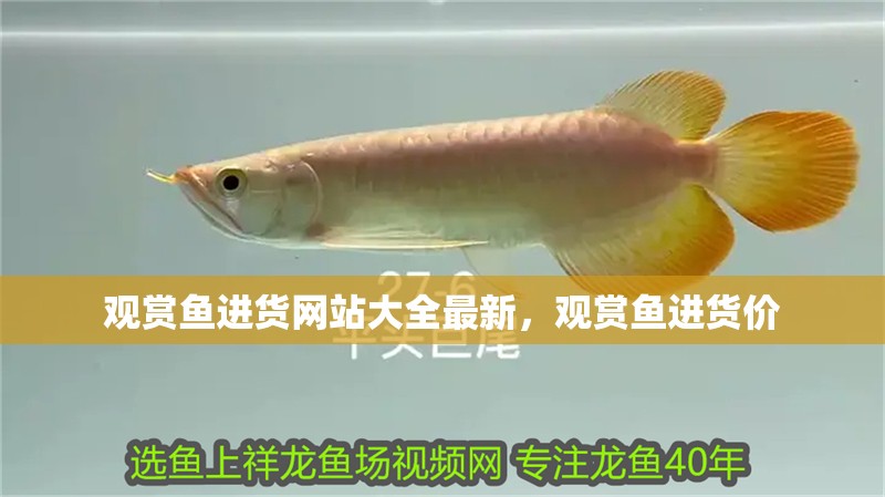 魚缸用增氧泵價格是多少:魚缸增氧機-xtrac增氧機-xtrac增氧機 觀賞魚進貨網站大全最新,觀賞魚進貨價 觀賞魚百科 觀賞魚進貨網站大全最新,觀賞魚進貨價 觀賞魚進貨網站大全最新,觀賞魚進貨價 觀賞魚百科