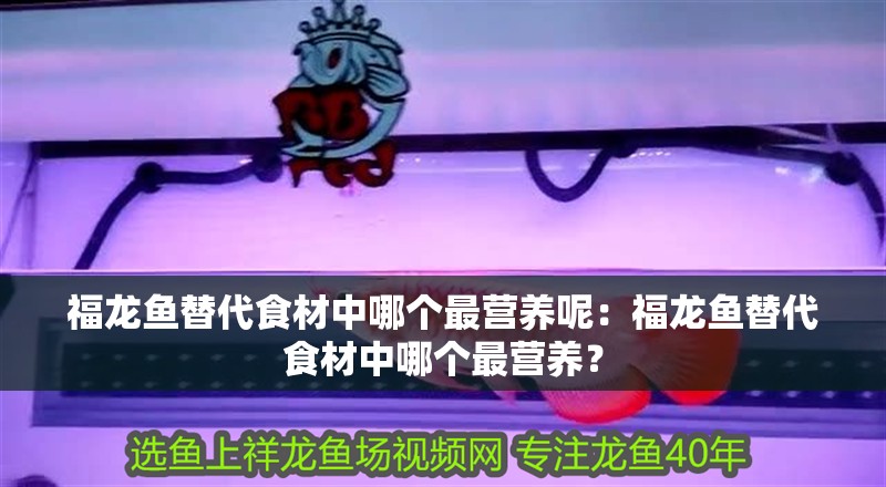 福龍魚替代食材中哪個最營養呢：福龍魚替代食材中哪個最營養？