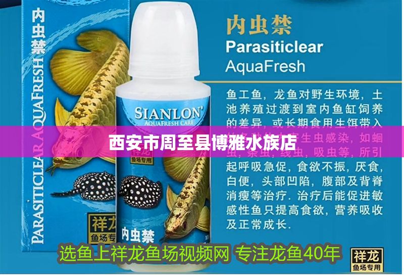 西安市周至縣博雅水族店