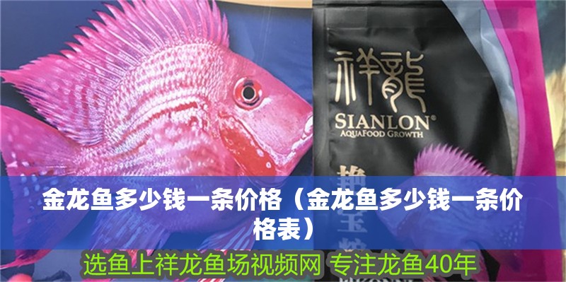 金龍魚多少錢一條價格（金龍魚多少錢一條價格表）