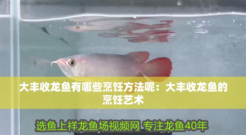 大豐收龍魚有哪些烹飪方法呢：大豐收龍魚的烹飪藝術 大豐收龍魚有哪些烹飪方法呢：大豐收龍魚的烹飪藝術 水族問答