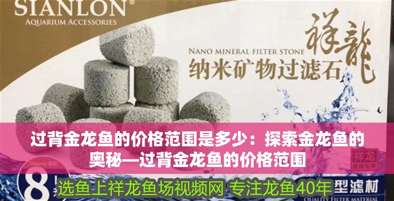 過背金龍魚的價格范圍是多少：探索金龍魚的奧秘—過背金龍魚的價格范圍