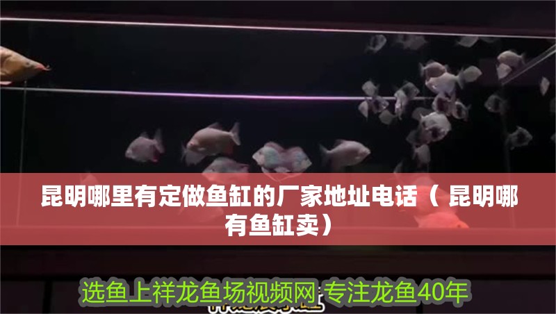 <strong><mark>昆明</mark></strong>哪里有定做魚缸的廠家地址電話（ <strong><mark>昆明</mark></strong>哪有魚缸賣）