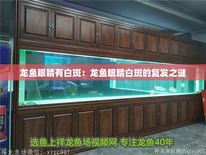 龍魚眼睛有白斑：龍魚眼睛白斑的復(fù)發(fā)之謎