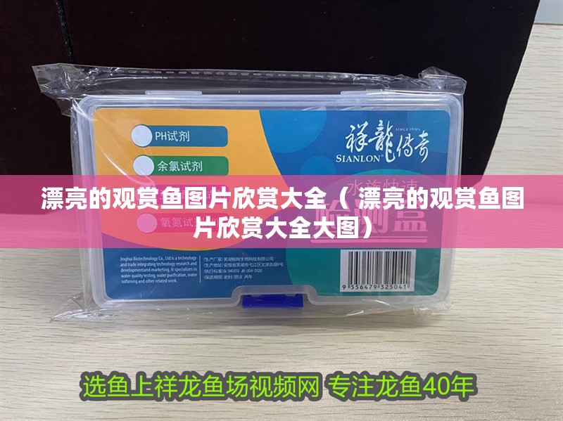 漂亮的觀賞魚圖片欣賞大全（ 漂亮的觀賞魚圖片欣賞大全大圖）