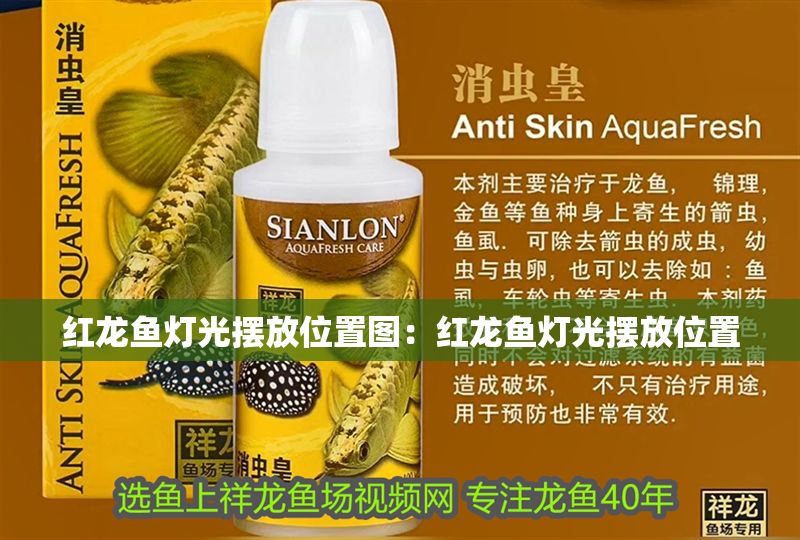 紅龍魚燈光擺放位置圖：紅龍魚燈光擺放位置