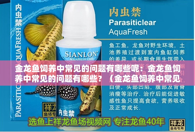 金龍魚飼養(yǎng)中常見的問題有哪些呢：金龍魚飼養(yǎng)中常見的問題有哪些？（金龍魚飼養(yǎng)中常見的幾個問題及其解決方案及其解決方案）