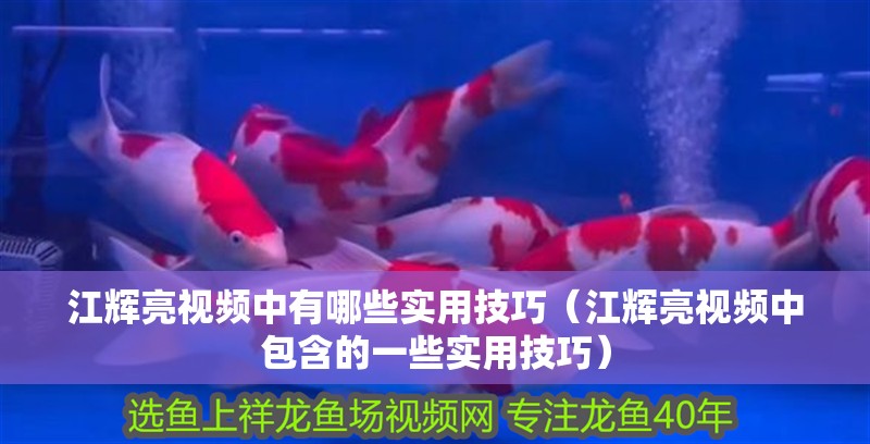 江輝亮視頻中有哪些實(shí)用技巧（江輝亮視頻中包含的一些實(shí)用技巧）