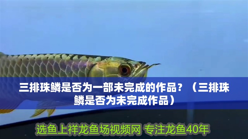 三排珠鱗是否為一部未完成的作品？（三排珠鱗是否為未完成作品）
