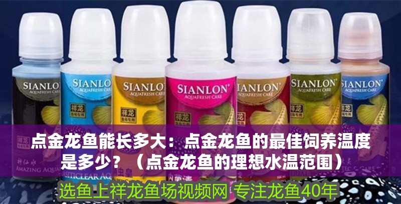 魚缸過濾器選購指南:自制魚缸過濾器魚缸上置過濾器對于養魚愛好者的必備知識 點金龍魚能長多大:點金龍魚的最佳飼養溫度是多少?(點金龍魚的理想水溫范圍) 水族問答 點金龍魚能長多大:點金龍魚的最佳飼養溫度是多少?(點金龍魚的理想水溫范圍) 點金龍魚能長多大:點金龍魚的最佳飼養溫度是多少?(點金龍魚的理想水溫范圍) 水族問答