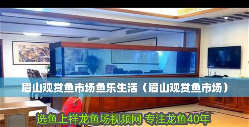 眉山觀賞魚市場(chǎng)魚樂生活（眉山觀賞魚市場(chǎng)）