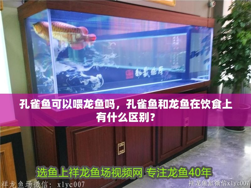 孔雀魚可以喂龍魚嗎，孔雀魚和龍魚在飲食上有什么區(qū)別？