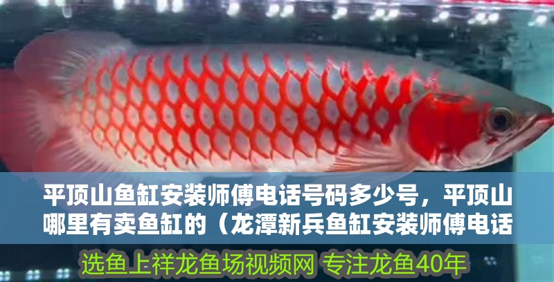 平頂山魚缸安裝師傅電話號碼多少號，平頂山哪里有賣魚缸的（龍潭新兵魚缸安裝師傅電話號碼：平頂山魚缸安裝師傅電話）