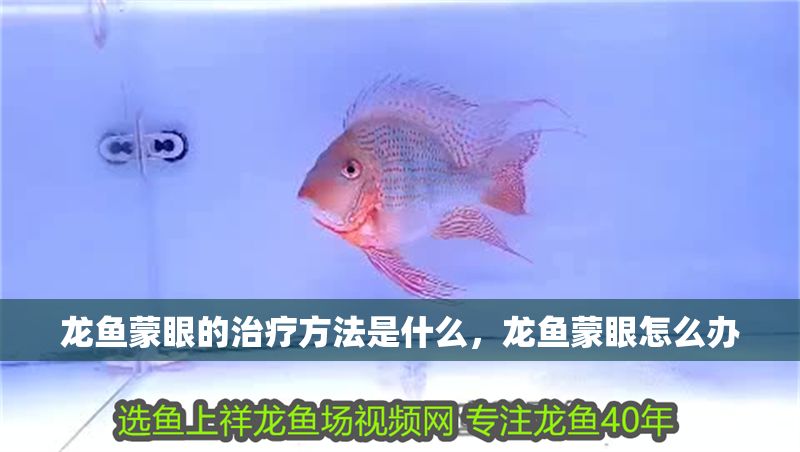 龍魚(yú)蒙眼的治療方法是什么，龍魚(yú)蒙眼怎么辦