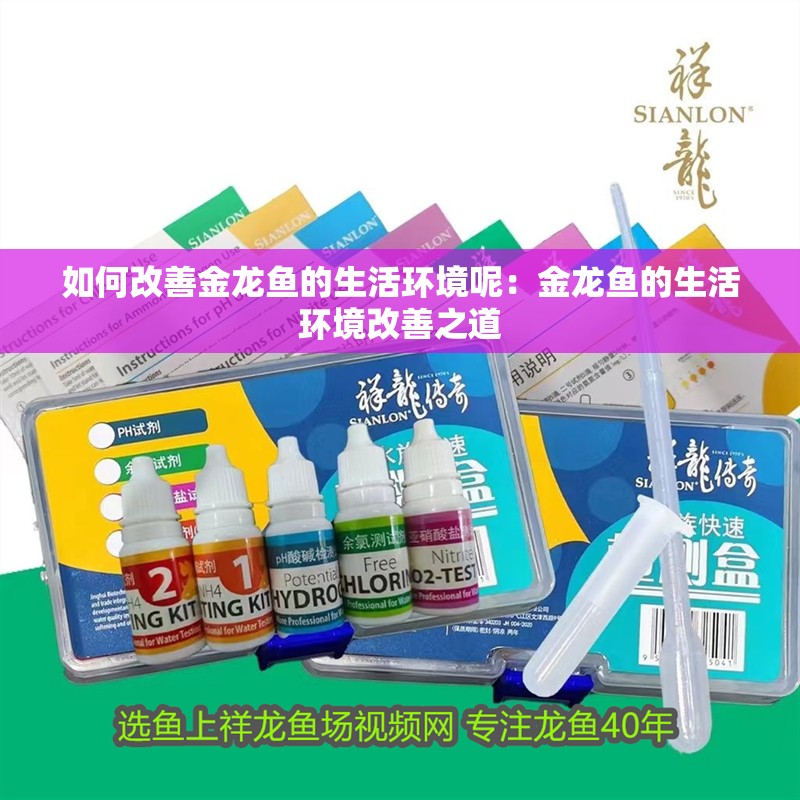 如何改善金龍魚的生活環境呢：金龍魚的生活環境改善之道