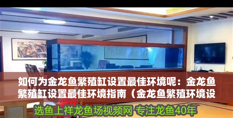 如何為金龍魚繁殖缸設(shè)置最佳環(huán)境呢：金龍魚繁殖缸設(shè)置最佳環(huán)境指南（金龍魚繁殖環(huán)境設(shè)置）