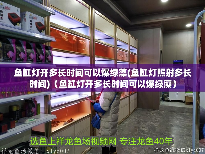 魚缸燈開多長時間可以爆綠藻(魚缸燈照射多長時間)（魚缸燈開多長時間可以爆綠藻）
