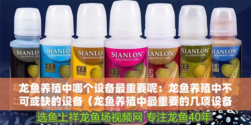龍魚養殖中哪個設備最重要呢：龍魚養殖中不可或缺的設備（龍魚養殖中最重要的幾項設備是龍魚養殖中最重要的幾項設備）
