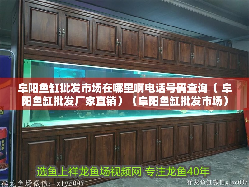 阜陽魚缸批發市場在哪里啊電話號碼查詢（ 阜陽魚缸批發廠家直銷）（阜陽魚缸批發市場）