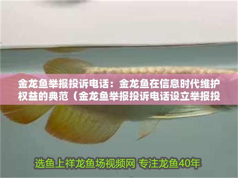 金龍魚舉報投訴電話：金龍魚在信息時代維護權益的典范（金龍魚舉報投訴電話設立舉報投訴電話并賠償100萬元）