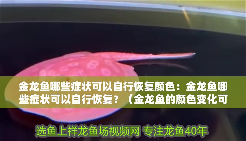 金龍魚哪些癥狀可以自行恢復(fù)顏色：金龍魚哪些癥狀可以自行恢復(fù)？（金龍魚的顏色變化可能會影響金龍魚的健康問題，金龍魚的健康問題）