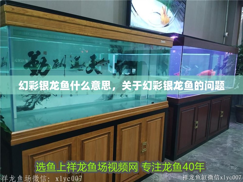 幻彩銀龍魚什么意思，關于幻彩銀龍魚的問題