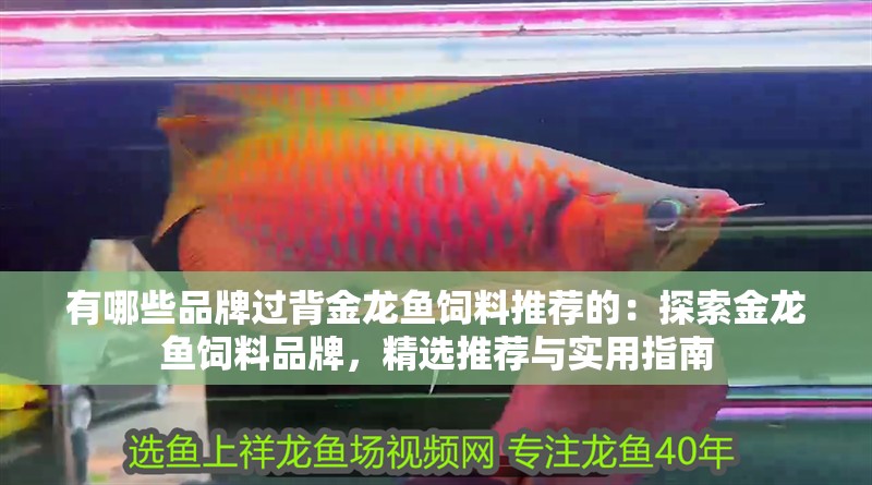 魚缸過濾器選購指南:自制魚缸過濾器魚缸上置過濾器對于養(yǎng)魚愛好者的必備知識(shí) 有哪些品牌過背金龍魚飼料推薦的:探索金龍魚飼料品牌,精選推薦與實(shí)用指南 水族問答 有哪些品牌過背金龍魚飼料推薦的:探索金龍魚飼料品牌,精選推薦與實(shí)用指南 有哪些品牌過背金龍魚飼料推薦的:探索金龍魚飼料品牌,精選推薦與實(shí)用指南 水族問答