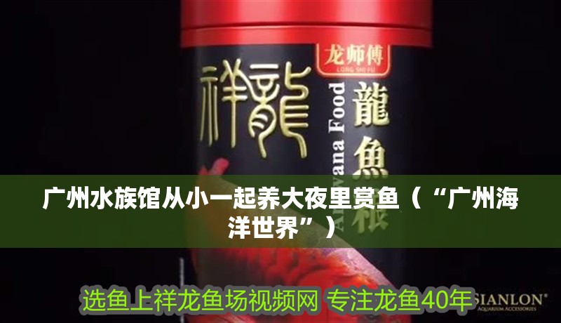 廣州水族館從小一起養大夜里賞魚（“廣州海洋世界”）