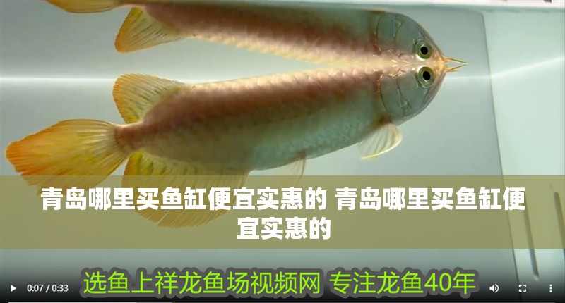 青島哪里買魚缸便宜實惠的 青島哪里買魚缸便宜實惠的