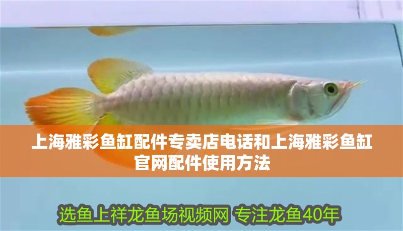 上海雅彩魚缸配件專賣店電話和上海雅彩魚缸官網配件使用方法