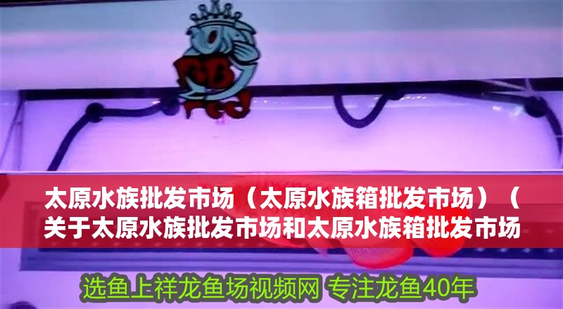 太原水族批發(fā)市場（太原水族箱批發(fā)市場）（關(guān)于太原水族批發(fā)市場和太原水族箱批發(fā)市場的介紹） 太原水族批發(fā)市場（太原水族箱批發(fā)市場）（關(guān)于太原水族批發(fā)市場和太原水族箱批發(fā)市場的介紹） 觀賞魚百科