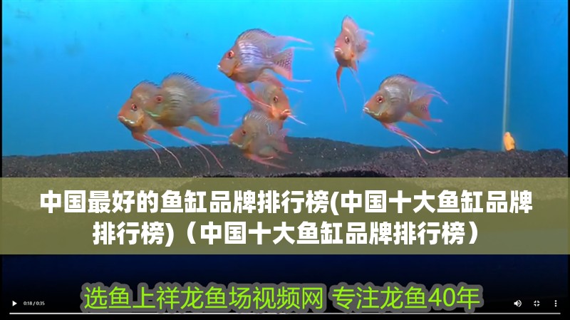 中國最好的魚缸品牌排行榜(中國十大魚缸品牌排行榜)（中國十大魚缸品牌排行榜）
