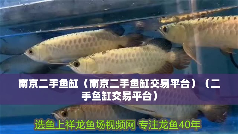 南京二手魚缸（南京二手魚缸交易平臺）（二手魚缸交易平臺）