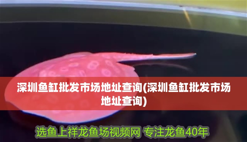 深圳魚缸批發(fā)市場地址查詢(深圳魚缸批發(fā)市場地址查詢) 深圳魚缸批發(fā)市場地址查詢(深圳魚缸批發(fā)市場地址查詢) 觀賞魚百科