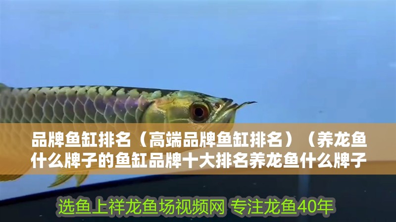 品牌魚缸排名（高端品牌魚缸排名）（養龍魚什么牌子的魚缸品牌十大排名養龍魚什么牌子的魚缸好）