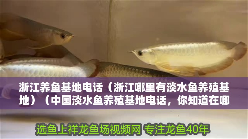 <strong><mark>浙江</mark></strong>養魚基地電話（<strong><mark>浙江</mark></strong>哪里有淡水魚養殖基地）（中國淡水魚養殖基地電話，你知道在哪嗎）
