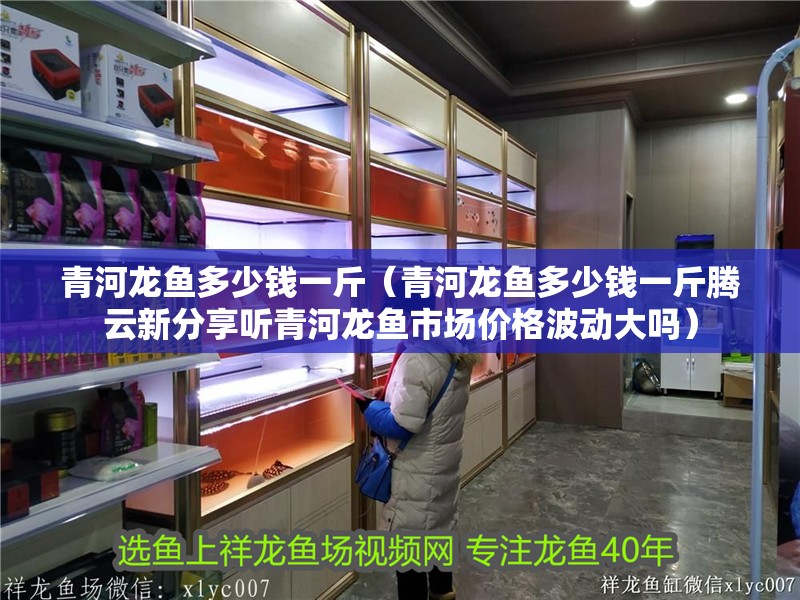 青河龍魚多少錢一斤（青河龍魚多少錢一斤騰云新分享聽青河龍魚市場價格波動大嗎）