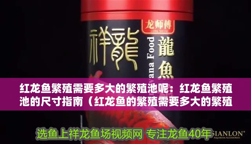 紅龍魚繁殖需要多大的繁殖池呢：紅龍魚繁殖池的尺寸指南（紅龍魚的繁殖需要多大的繁殖池） 紅龍魚繁殖需要多大的繁殖池呢：紅龍魚繁殖池的尺寸指南（紅龍魚的繁殖需要多大的繁殖池） 水族問答