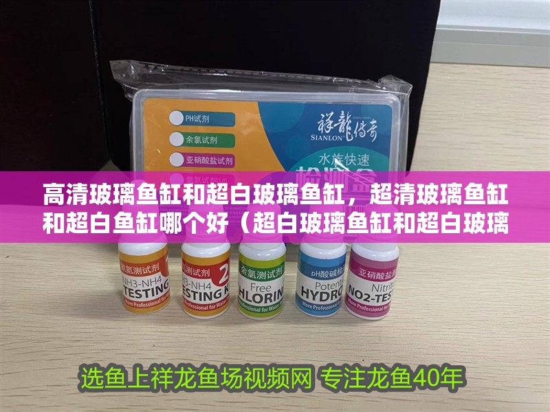 高清玻璃魚缸和超白玻璃魚缸，超清玻璃魚缸和超白魚缸哪個好（超白玻璃魚缸和超白玻璃魚缸和超白玻璃魚缸的區別）