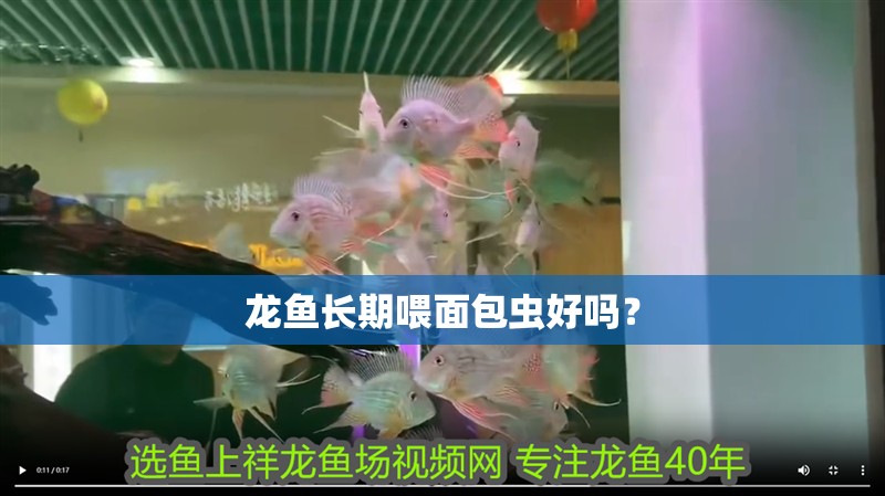 龍魚長期喂面包蟲好嗎？