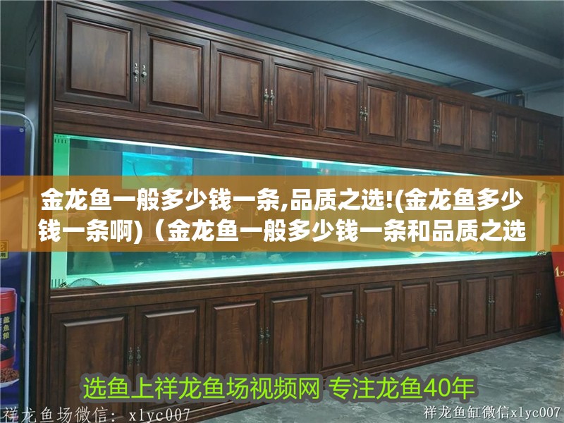 金龍魚一般多少錢一條,品質之選!(金龍魚多少錢一條啊)（金龍魚一般多少錢一條和品質之選金龍魚一般多少錢一條）