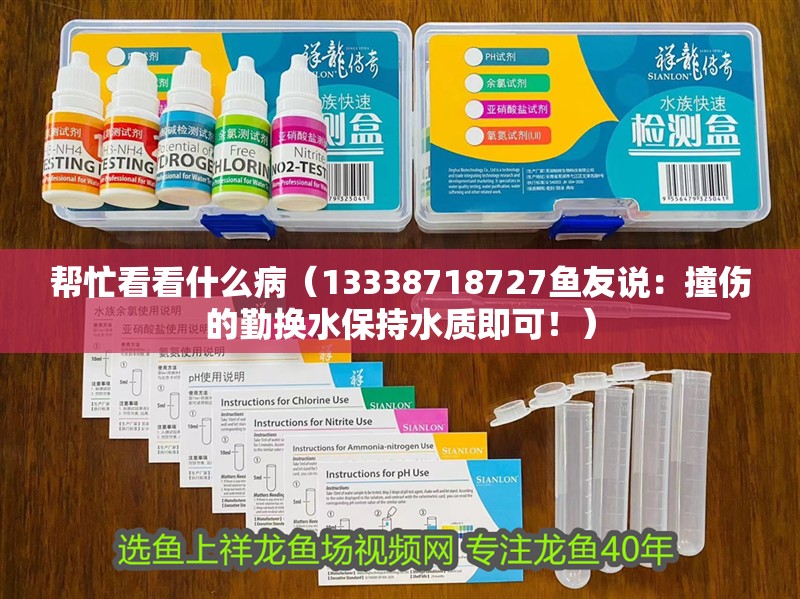幫忙看看什么病（13338718727魚(yú)友說(shuō)：撞傷的勤換水保持水質(zhì)即可！）