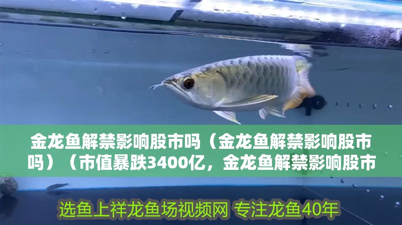 金龍魚解禁影響股市嗎（金龍魚解禁影響股市嗎）（市值暴跌3400億，金龍魚解禁影響股市嗎）