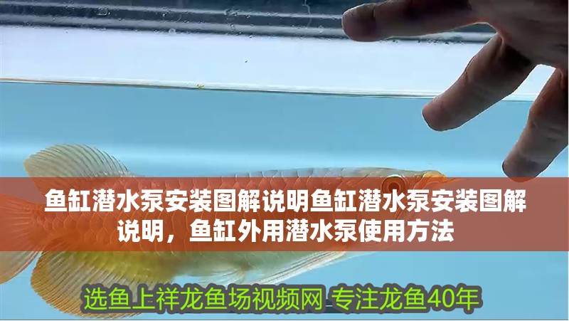 魚缸潛水泵安裝圖解說明魚缸潛水泵安裝圖解說明，魚缸外用潛水泵使用方法