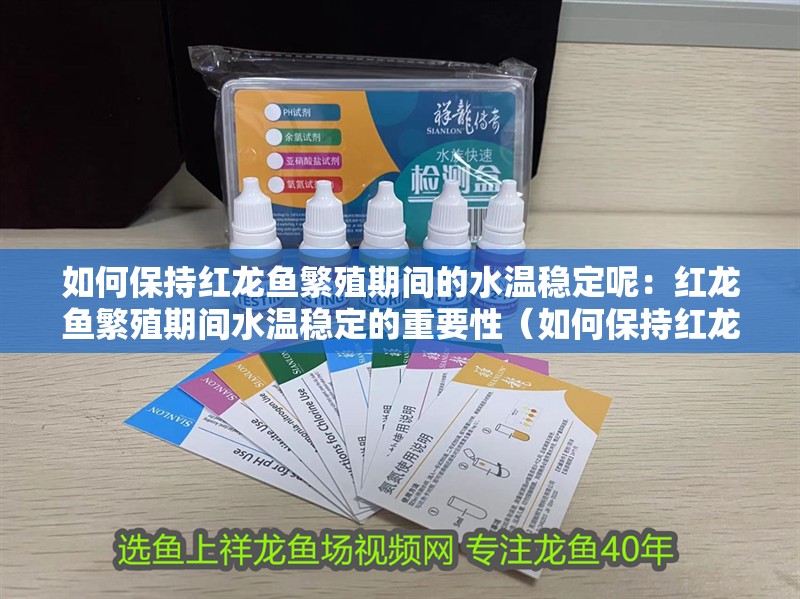 如何保持紅龍魚繁殖期間的水溫穩(wěn)定呢：紅龍魚繁殖期間水溫穩(wěn)定的重要性（如何保持紅龍魚繁殖期間水溫穩(wěn)定）