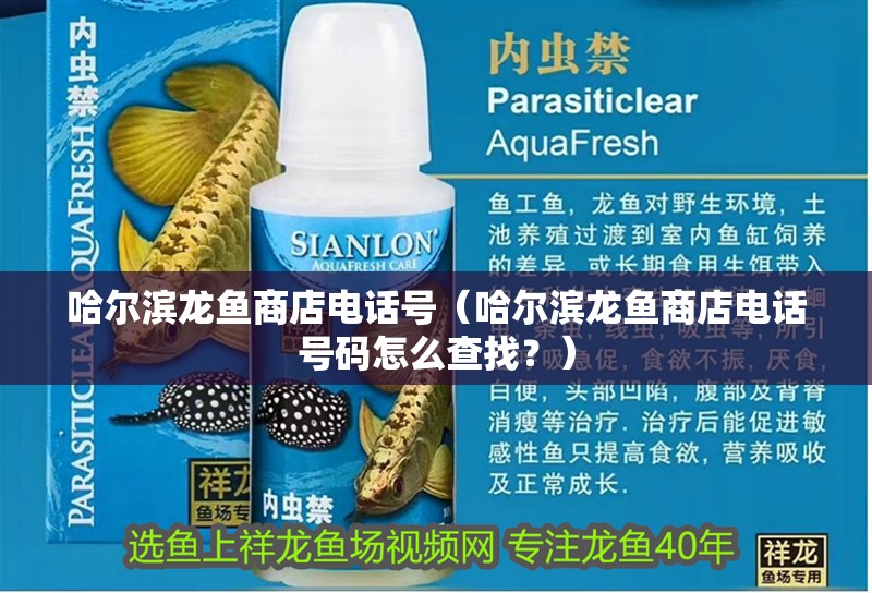 哈爾濱龍魚商店電話號(hào)（哈爾濱龍魚商店電話號(hào)碼怎么查找？）