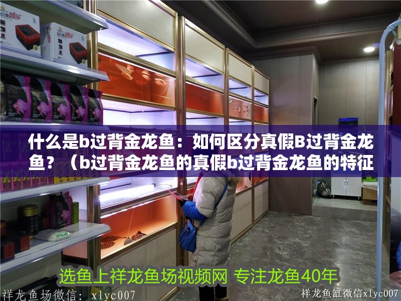 什么是b過背金龍魚：如何區(qū)分真假B過背金龍魚？（b過背金龍魚的真假b過背金龍魚的特征和真假b過背金龍魚）